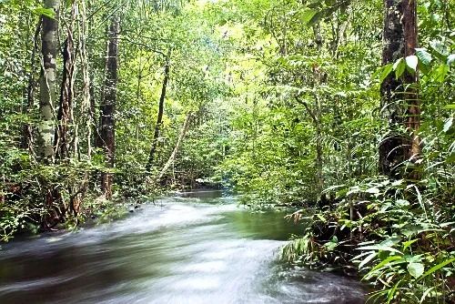 Fazenda em serra grande bahia  - Foto 5