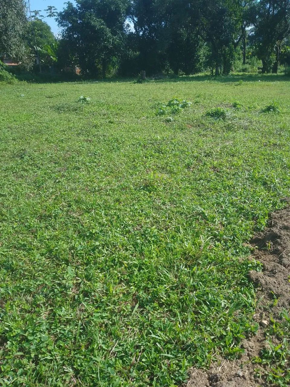 VENDO LOTES EM TINGUA (marambaia) - Foto 3