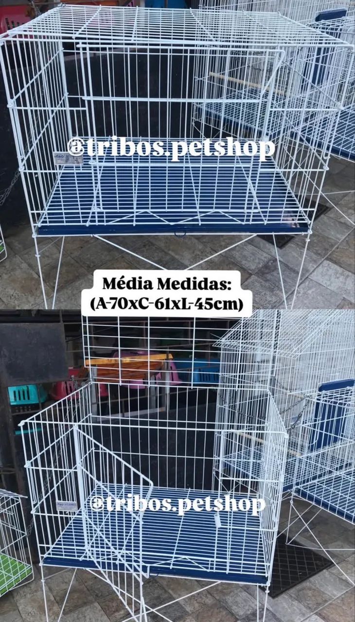 Gaiola porquinho da índia preços variados  - Foto 5