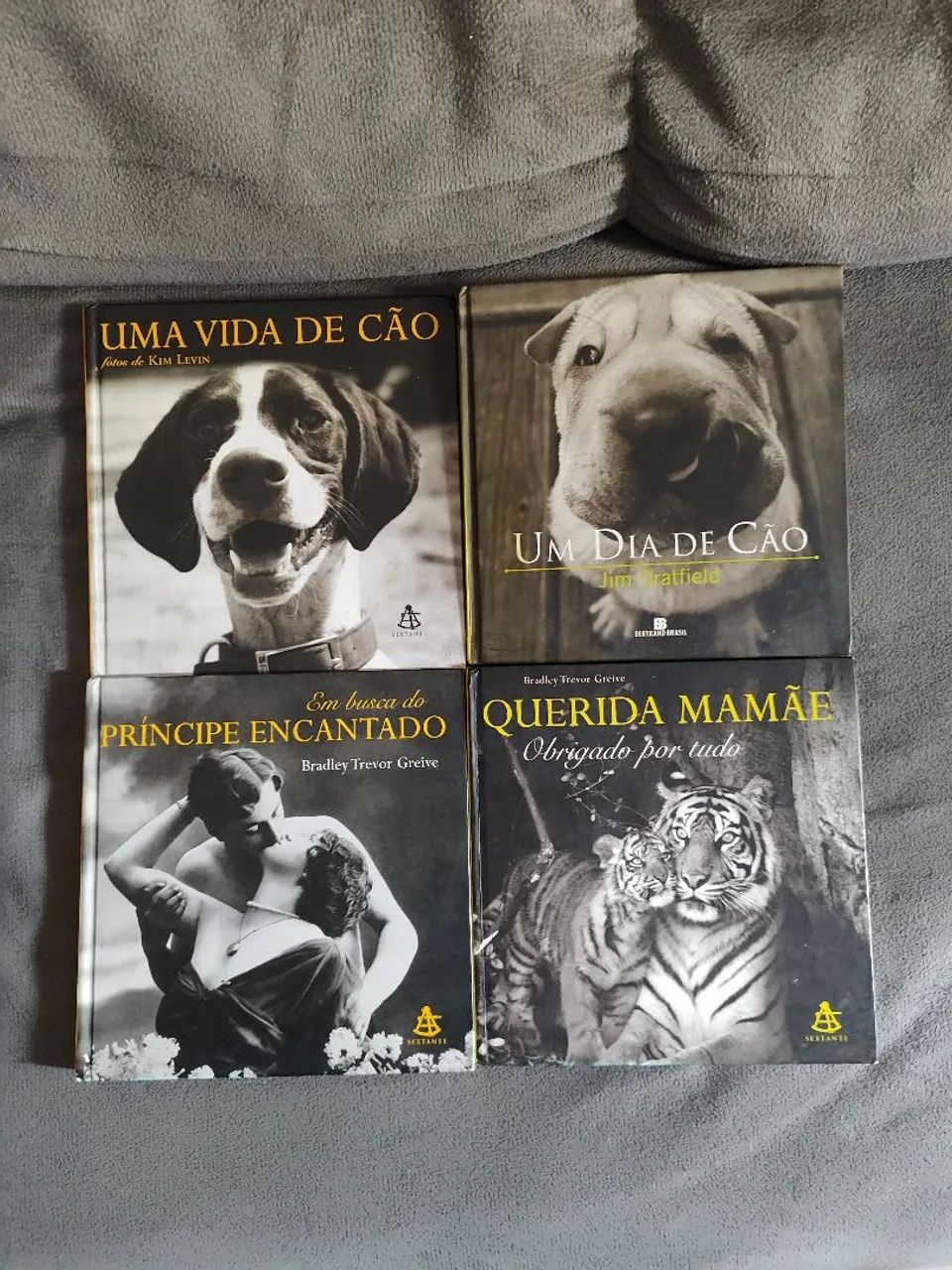 Coleção de livros infantis 