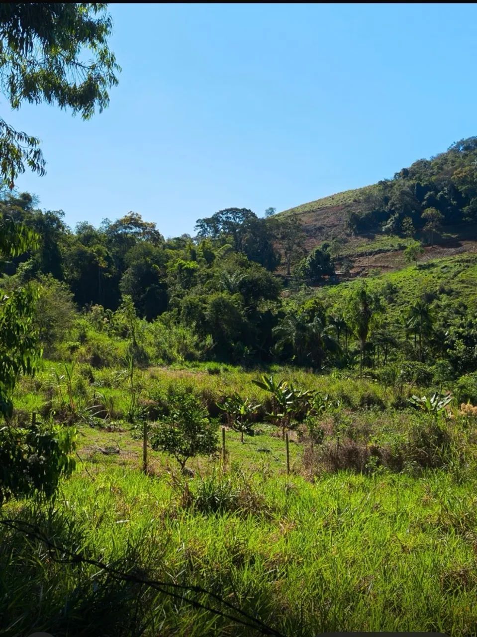 VENDO CHÁCARA EM SÃO CÂNDIDO  - Foto 3