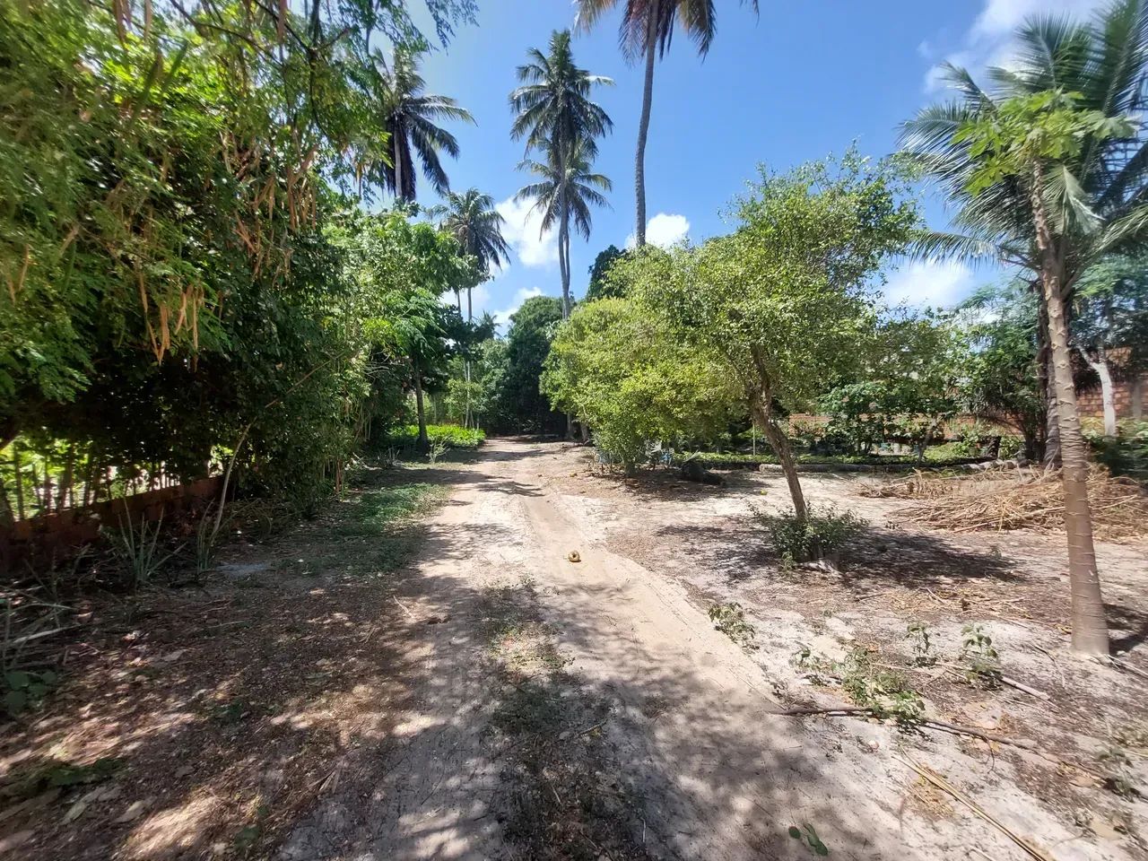 Oportunidade sem igual. Casa e terreno a beira da lagoa da Precabura - Foto 3