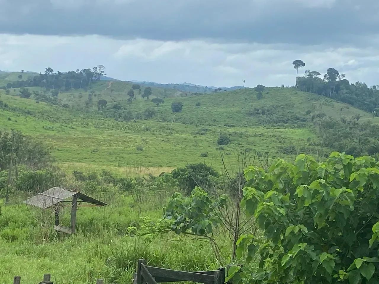 fazenda em Pacajá-PA - Foto 4
