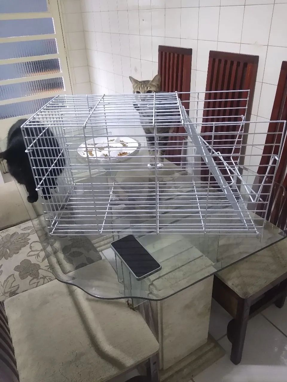 Gatoeira 