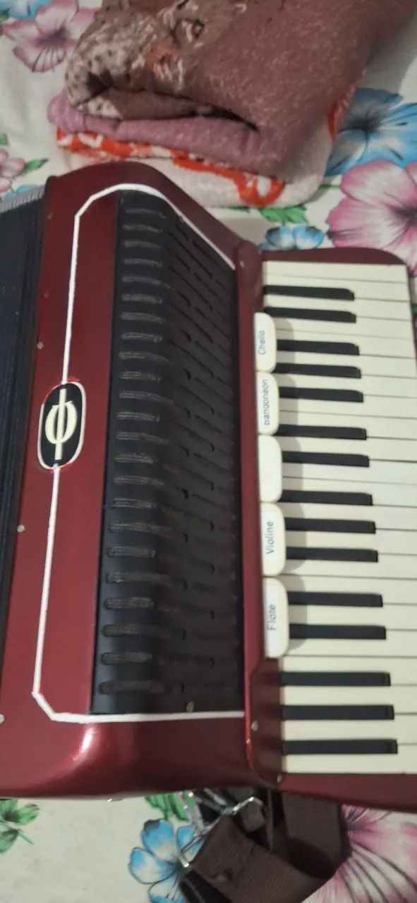 Acordeon  - Foto 2