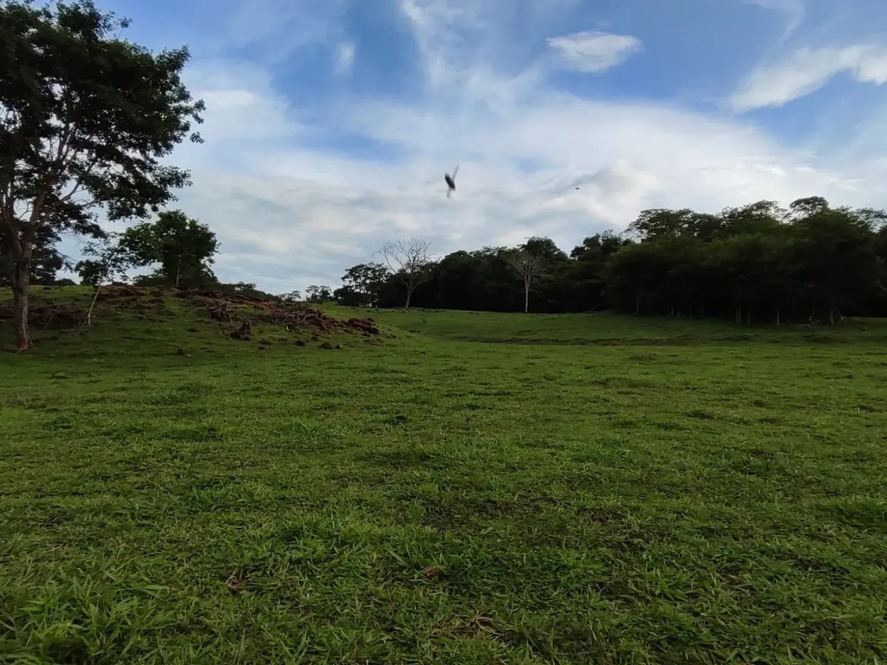 Chácara Completa  2,7 Litros (Jaraguá/GO) - Foto 4