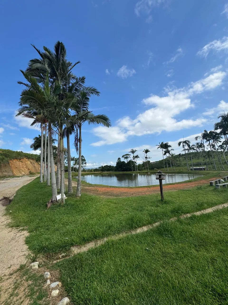 HARAS À VENDA EM TIJUCAS  - Foto 5