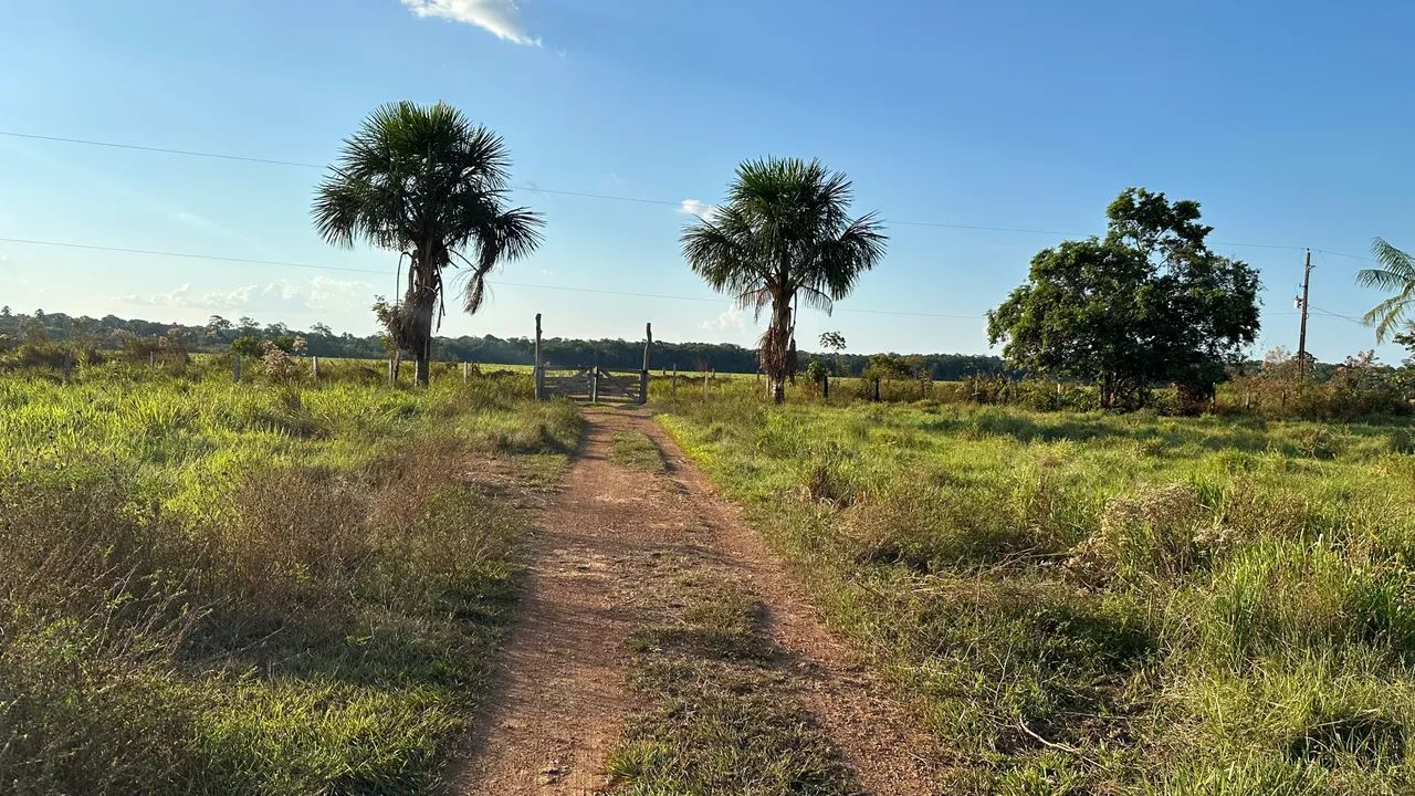 Vende- Chacara no Canutama ou linha Transpurus sentido Humaitá  - Foto 4