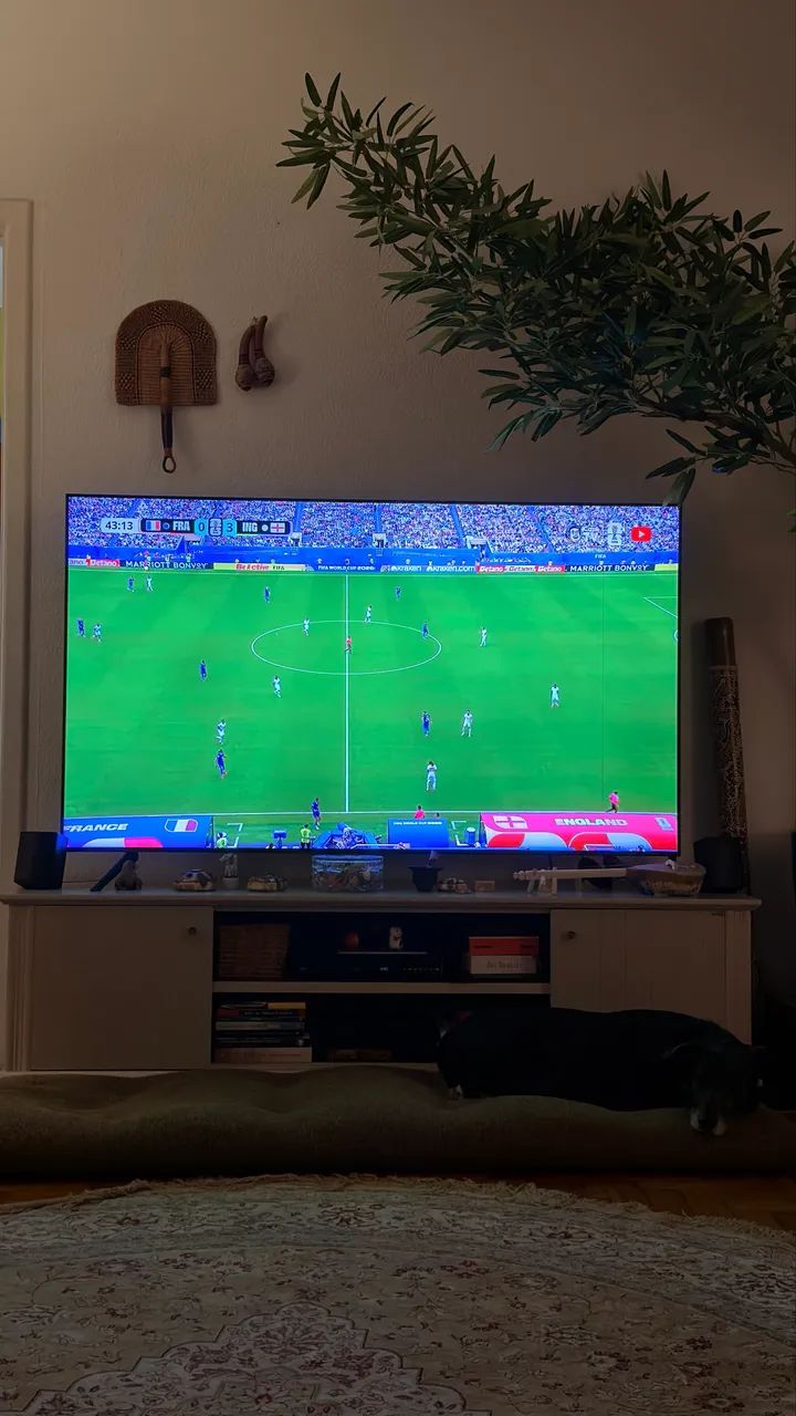 Televisao