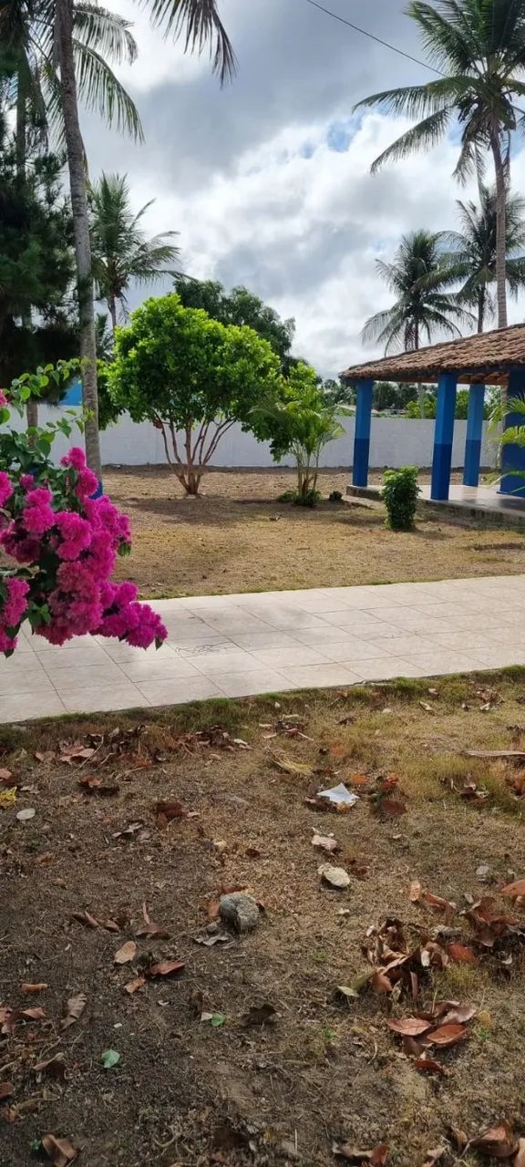 Vendo Chácara em N. Sra. das Dores - Foto 3