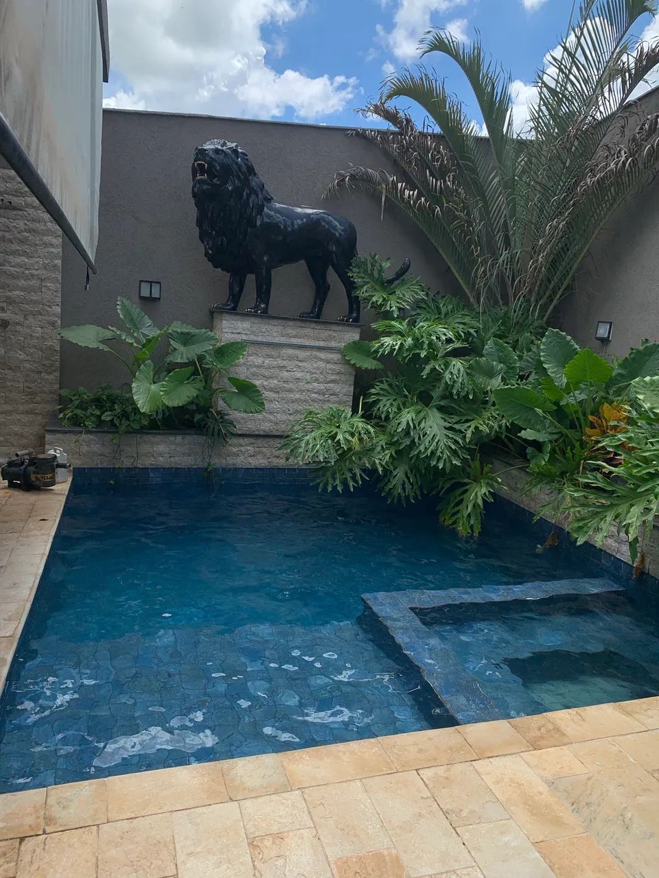 LIMPEZA DE PISCINA  - Foto 5