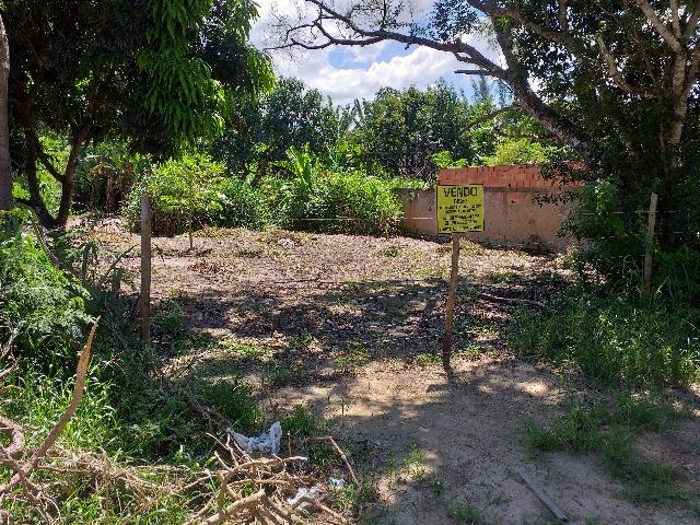 Saquarema - Jardim Ipitangas - excelente terreno 615 m2