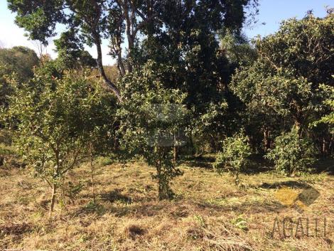 Terreno à venda em Centro, Colombo cod:300-17 - Foto 8