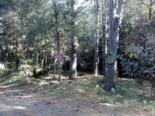 Vende-se Terreno Urgente oportunidade Sai já do ALuguel - Foto 2