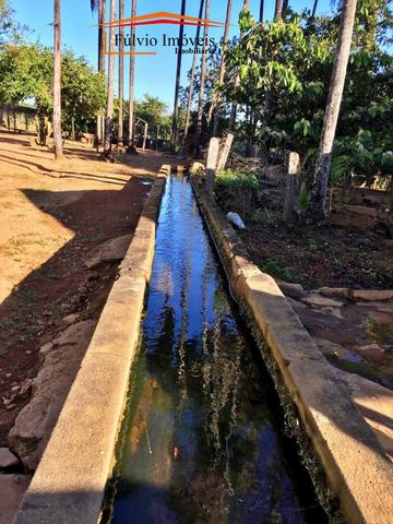 Belíssima fazenda, 110hectares, próximo de Caldas Novas, casarão rústico, rica em água - Foto 5
