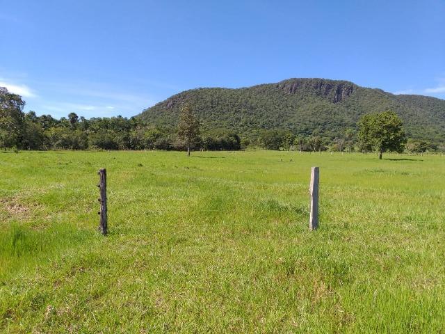 Lindo Sitio Próximo da Serra - Foto 2