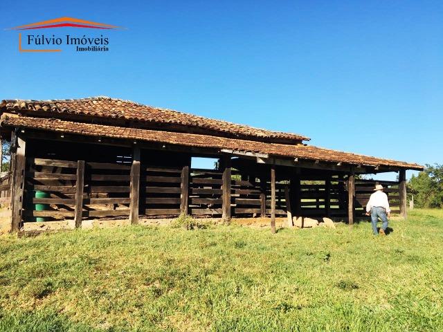 Belíssima fazenda, 110hectares, próximo de Caldas Novas, casarão rústico, rica em água - Foto 2