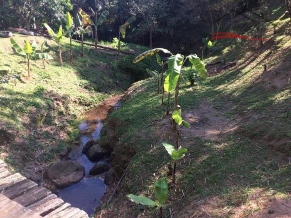 Sítio à venda em Pagará grande, Santo amaro da imperatriz cod:120 - Foto 8