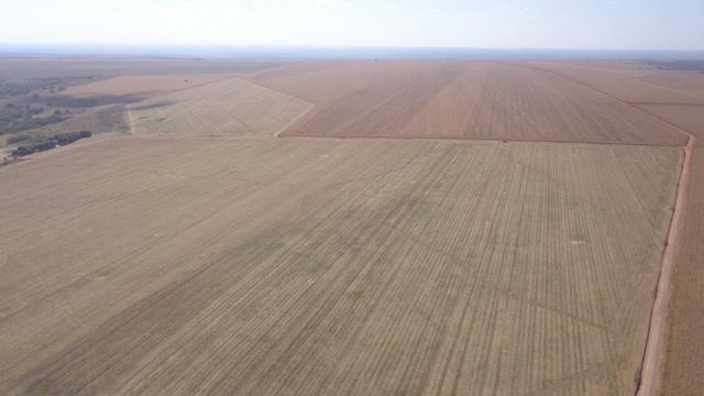 Fazenda 1.150 Hectares Plantando Lavoura - Nova Mutum - MT