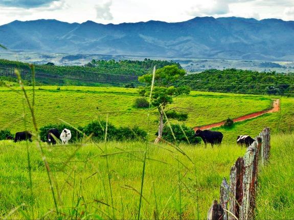 Fazenda interior de Canarana-MT 75Hectares