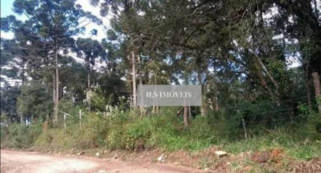 Chácara em tijucas do sul - Foto 2