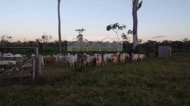 Fazenda à venda, 14520000 m² por r$ 4.500.000 - zona rural - são félix do xingu/pa - Foto 6