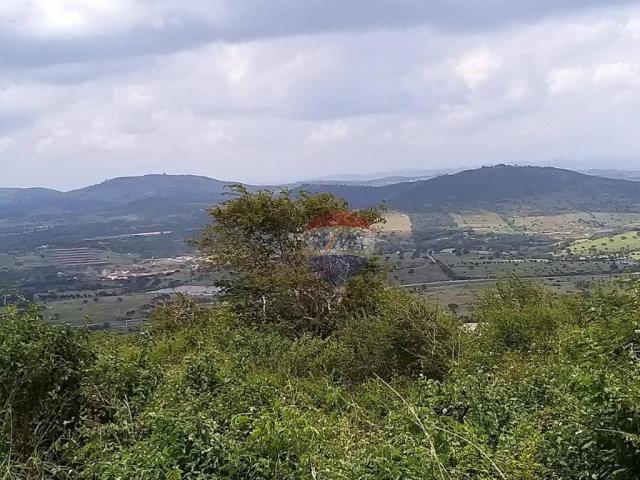 Terreno em condomínio em gravatá, terra de santa fé, br232. - Foto 8