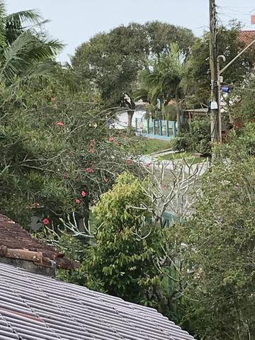 Casa dos Molhes - Foto 4