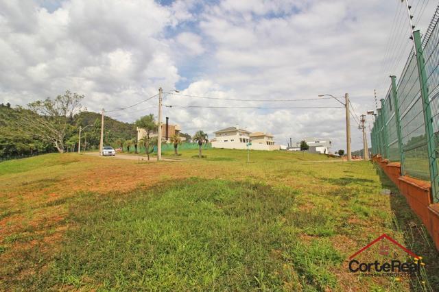 Terreno à venda em Vila nova, Porto alegre cod:6013 - Foto 5