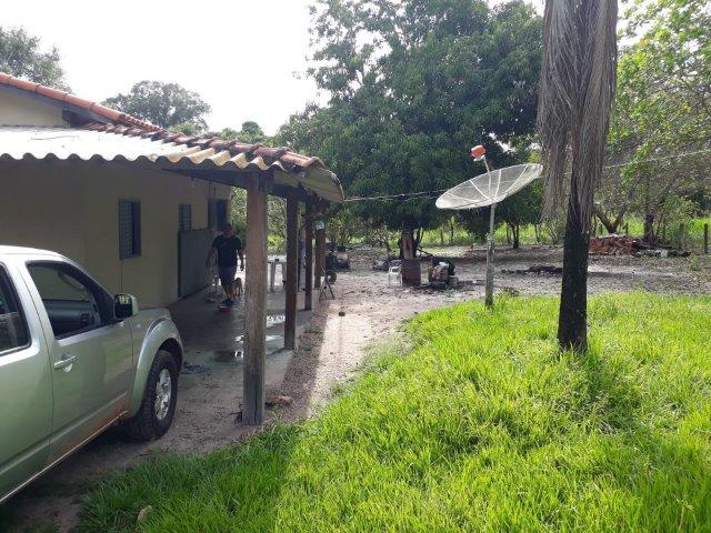 Fazenda Paraiso - Foto 3