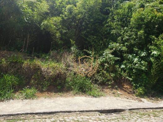 Terreno à venda, 4200 m² por r$ 2.760.000,00 - várzea - teresópolis/rj - Foto 4