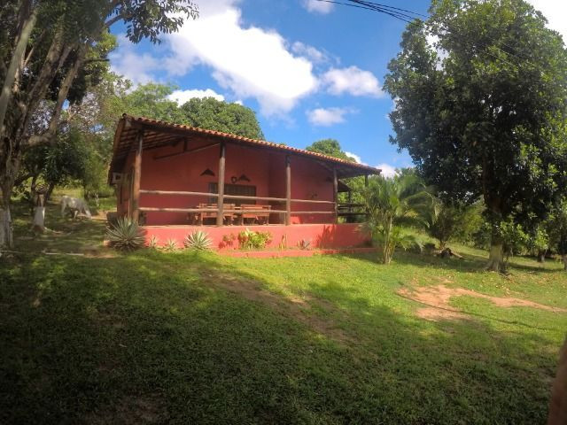 Fazendinha com 260.000m2 em candeias - Foto 13