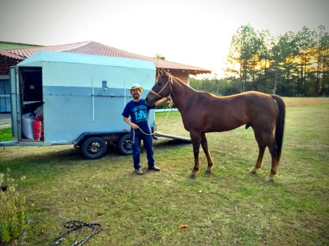 Carretinha para 01 cavalo - Foto 5