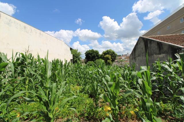 Loteamento/condomínio à venda em Pinheirinho, Curitiba cod:TE0203 - Foto 10