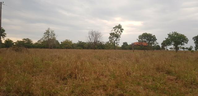Fazenda 219 alqueires | região Caçu | boa pra lavoura plana - Foto 3