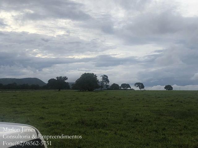 Fazenda em Vila Propício-Go! - Foto 3