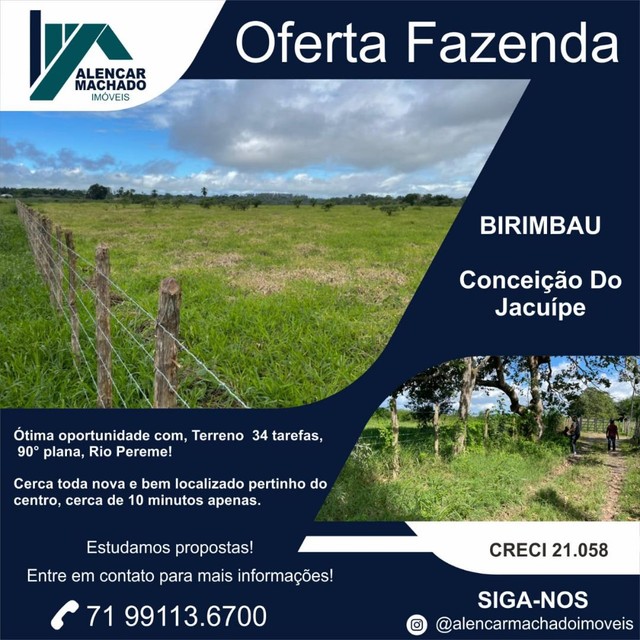 FAZENDINHA 34 TAREFAS EM BIRIMBAU OTIMA