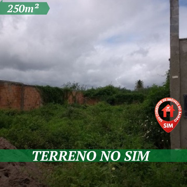 Vendo Terreno no Sim 250m² Escriturado a  600 Metros da Av. Artêmia Pires.