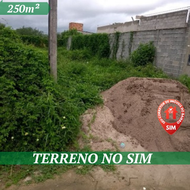 Vendo Terreno no Sim 250m² Escriturado a  600 Metros da Av. Artêmia Pires.