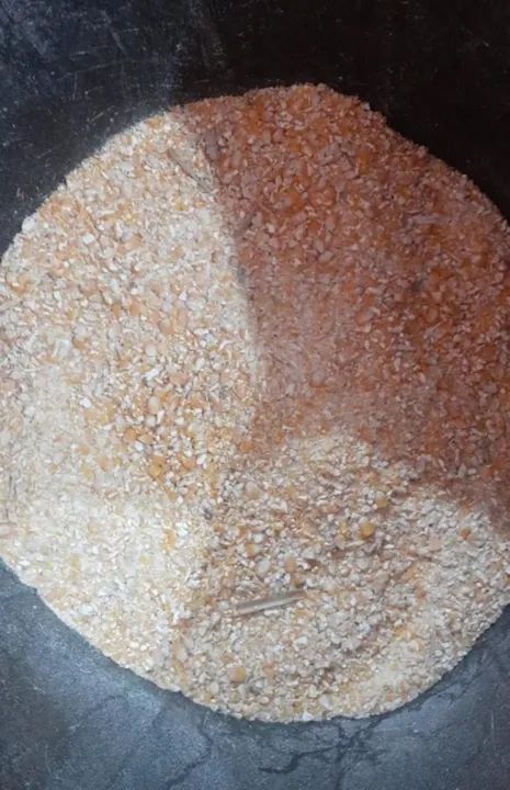 Milho de Qualidade em Sacas de 50 kg e 60 kg - Foto 6