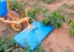 Carriola knapik- Aplicador de Herbicida  - Foto 2