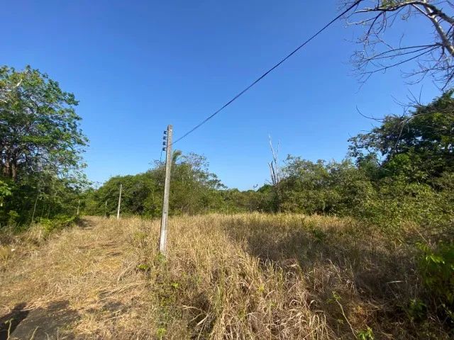 Área de 20 mil metros quadrados  - Foto 4