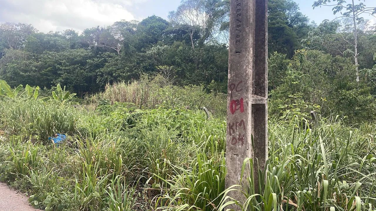 TERRENO URBANO COMERCIAL  - Foto 4
