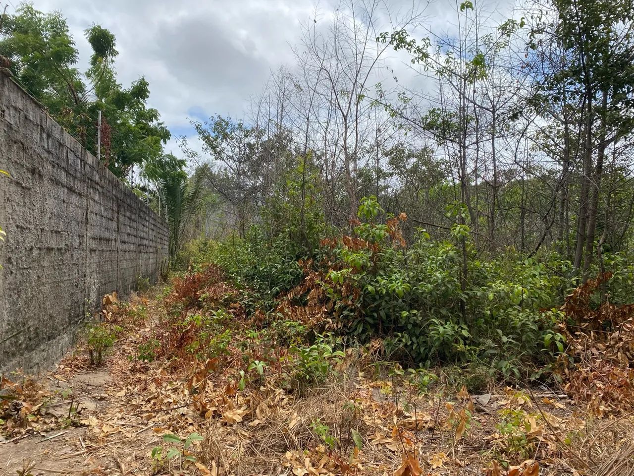 Terreno com ótima localização- Araçagy  - Foto 3