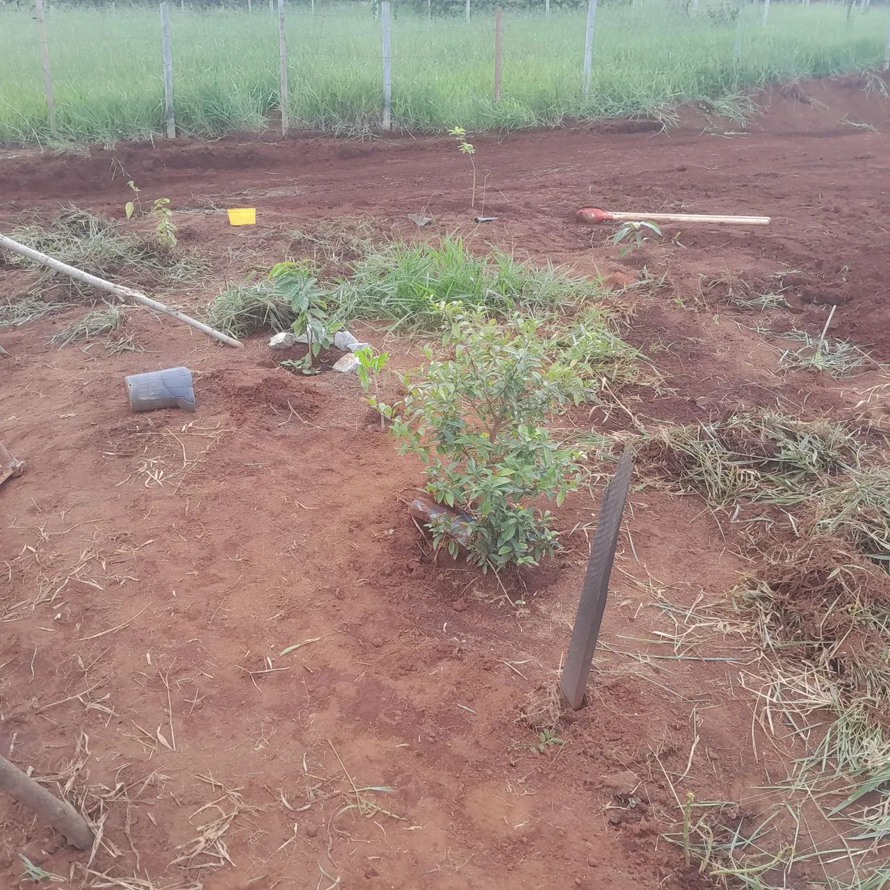 Terreno com área verde em ótima localização - Foto 2