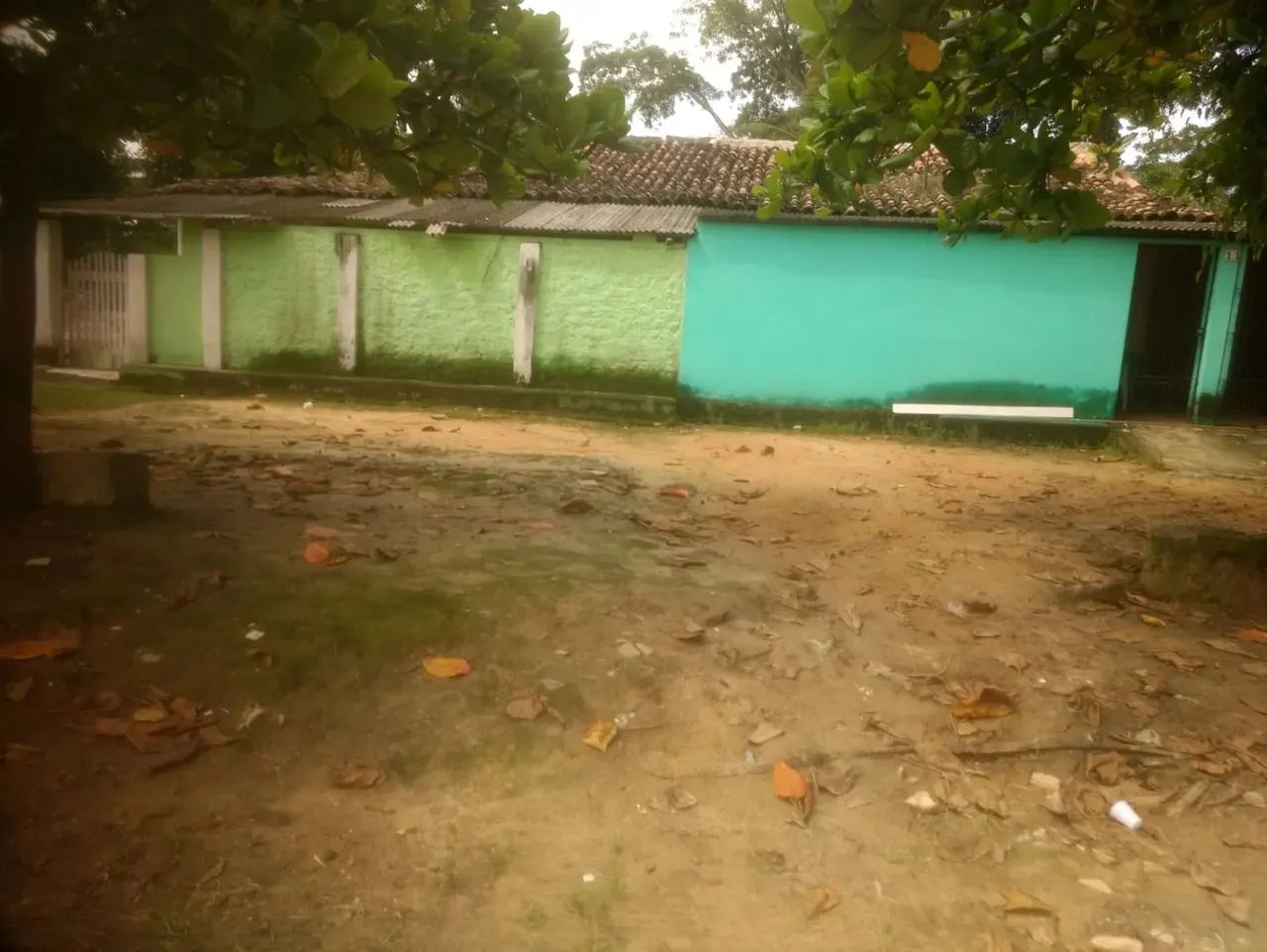 Vendo uma Propriedade em Palmares, 900 hectares, R$: 25.000 - Foto 4