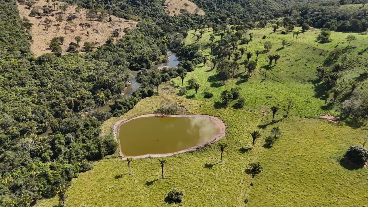 Sítio 10 alqueires 48.5 hectares  - Foto 3