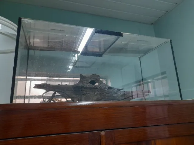 Aquário