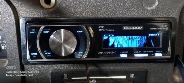 Pioneer golfinho