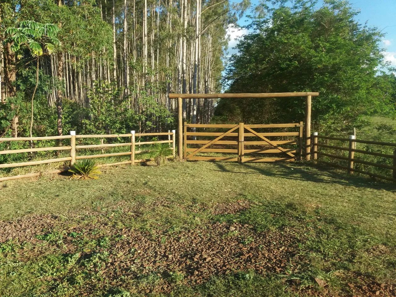 Foto - Campo Grande - Coophavila II